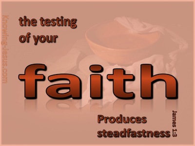 James 1:3 Testing Of Your Faith (brown)